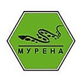 МУРЕНА